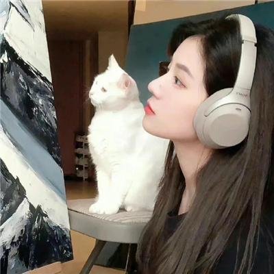 热铁皮屋顶上的猫